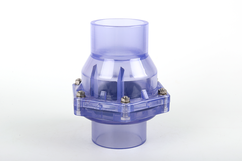 桥西透明翻板式止回阀